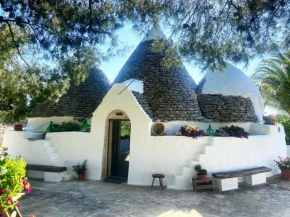 Trullo Le radici del Pino